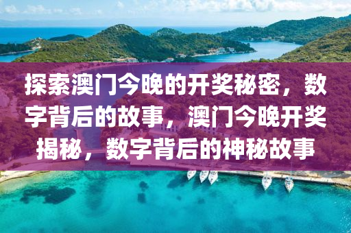 探索澳门今晚的开奖秘密，数字背后的故事，澳门今晚开奖揭秘，数字背后的神秘故事