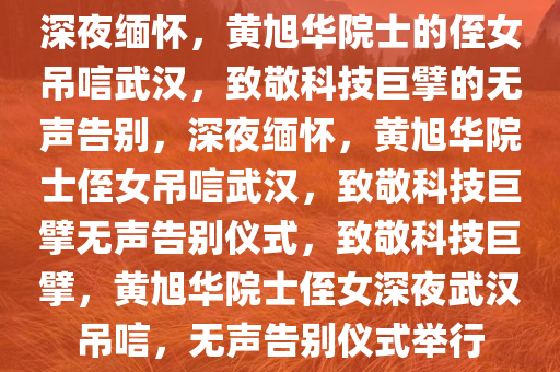 深夜缅怀，黄旭华院士的侄女吊唁武汉，致敬科技巨擘的无声告别，深夜缅怀，黄旭华院士侄女吊唁武汉，致敬科技巨擘无声告别仪式，致敬科技巨擘，黄旭华院士侄女深夜武汉吊唁，无声告别仪式举行