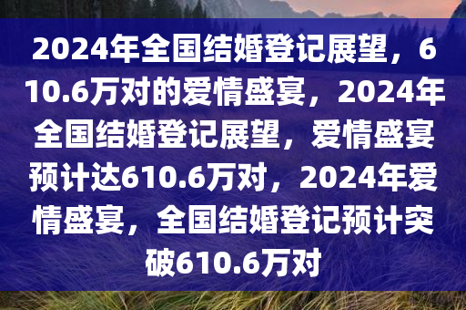 2024年全国结婚登记展望，610.6万对的爱情盛宴，2024年全国结婚登记展望，爱情盛宴预计达610.6万对，2024年爱情盛宴，全国结婚登记预计突破610.6万对