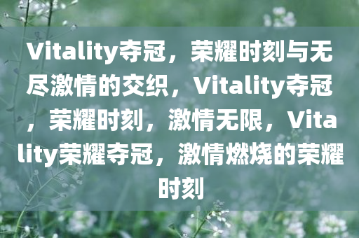 Vitality夺冠，荣耀时刻与无尽激情的交织，Vitality夺冠，荣耀时刻，激情无限，Vitality荣耀夺冠，激情燃烧的荣耀时刻