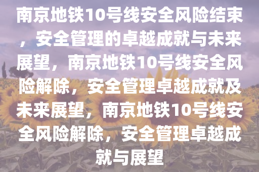 南京地铁10号线安全风险结束，安全管理的卓越成就与未来展望，南京地铁10号线安全风险解除，安全管理卓越成就及未来展望，南京地铁10号线安全风险解除，安全管理卓越成就与展望