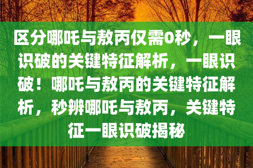 区分哪吒与敖丙仅需0秒，一眼识破的关键特征解析，一眼识破！哪吒与敖丙的关键特征解析，秒辨哪吒与敖丙，关键特征一眼识破揭秘