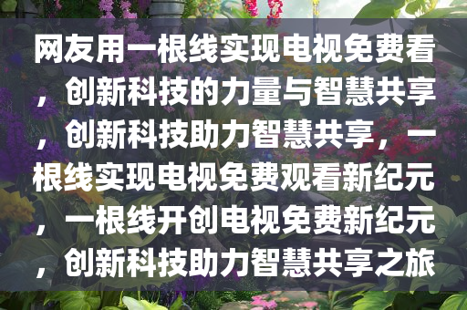 网友用一根线实现电视免费看，创新科技的力量与智慧共享，创新科技助力智慧共享，一根线实现电视免费观看新纪元，一根线开创电视免费新纪元，创新科技助力智慧共享之旅