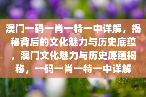 澳门一码一肖一特一中详解，揭秘背后的文化魅力与历史底蕴，澳门文化魅力与历史底蕴揭秘，一码一肖一特一中详解