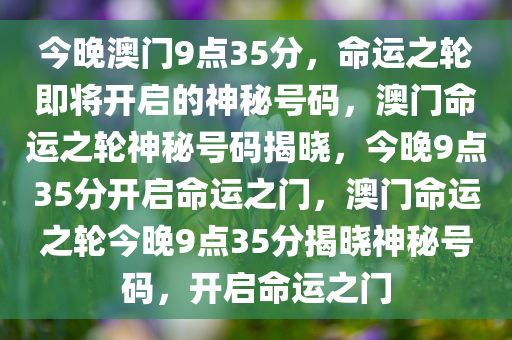 今晚澳门9点35分，命运之轮即将开启的神秘号码，澳门命运之轮神秘号码揭晓，今晚9点35分开启命运之门，澳门命运之轮今晚9点35分揭晓神秘号码，开启命运之门