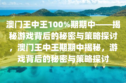 澳门王中王100%期期中——揭秘游戏背后的秘密与策略探讨，澳门王中王期期中揭秘，游戏背后的秘密与策略探讨