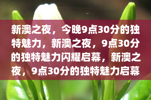 新澳之夜，今晚9点30分的独特魅力，新澳之夜，9点30分的独特魅力闪耀启幕，新澳之夜，9点30分的独特魅力启幕