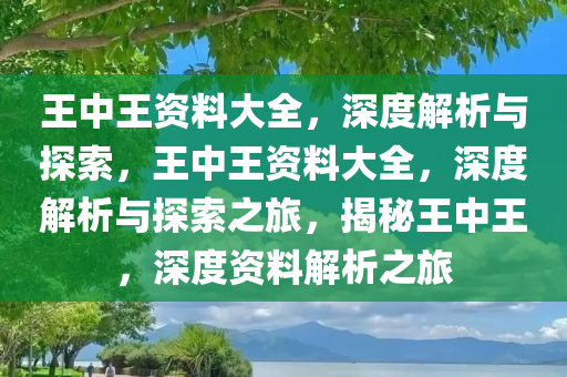 王中王资料大全，深度解析与探索，王中王资料大全，深度解析与探索之旅，揭秘王中王，深度资料解析之旅