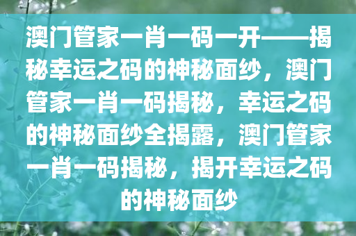 澳门管家一肖一码一开——揭秘幸运之码的神秘面纱，澳门管家一肖一码揭秘，幸运之码的神秘面纱全揭露，澳门管家一肖一码揭秘，揭开幸运之码的神秘面纱