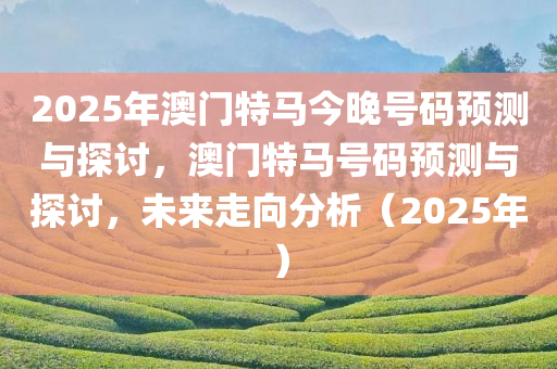 2025年澳门特马今晚号码预测与探讨，澳门特马号码预测与探讨，未来走向分析（2025年）