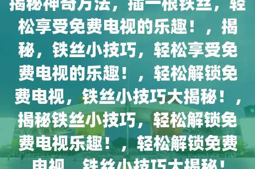 揭秘神奇方法，插一根铁丝，轻松享受免费电视的乐趣！，揭秘，铁丝小技巧，轻松享受免费电视的乐趣！，轻松解锁免费电视，铁丝小技巧大揭秘！，揭秘铁丝小技巧，轻松解锁免费电视乐趣！，轻松解锁免费电视，铁丝小技巧大揭秘！