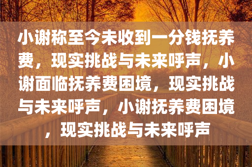 小谢称至今未收到一分钱抚养费，现实挑战与未来呼声，小谢面临抚养费困境，现实挑战与未来呼声，小谢抚养费困境，现实挑战与未来呼声