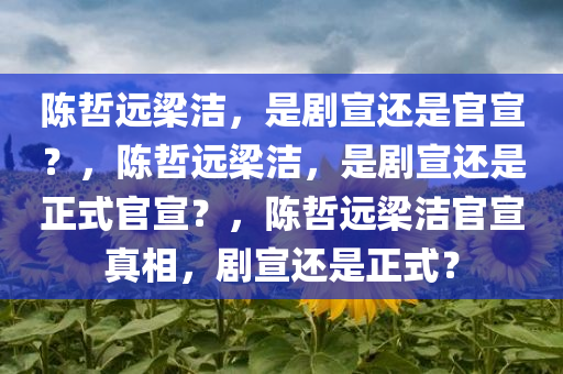 陈哲远梁洁，是剧宣还是官宣？，陈哲远梁洁，是剧宣还是正式官宣？，陈哲远梁洁官宣真相，剧宣还是正式？