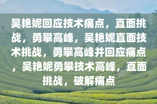 吴艳妮回应技术痛点，直面挑战，勇攀高峰，吴艳妮直面技术挑战，勇攀高峰并回应痛点，吴艳妮勇攀技术高峰，直面挑战，破解痛点