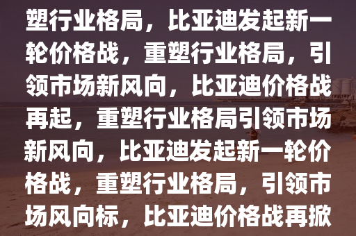 比亚迪发起新一轮价格战