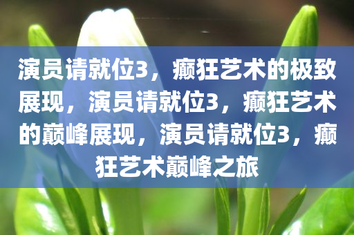 演员请就位3，癫狂艺术的极致展现，演员请就位3，癫狂艺术的巅峰展现，演员请就位3，癫狂艺术巅峰之旅