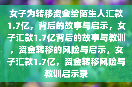 女子为转移资金给陌生人汇款1.7亿，背后的故事与启示，女子汇款1.7亿背后的故事与教训，资金转移的风险与启示，女子汇款1.7亿，资金转移风险与教训启示录