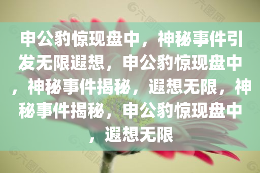 申公豹惊现盘中，神秘事件引发无限遐想，申公豹惊现盘中，神秘事件揭秘，遐想无限，神秘事件揭秘，申公豹惊现盘中，遐想无限