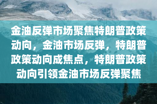 金油反弹市场聚焦特朗普政策动向，金油市场反弹，特朗普政策动向成焦点，特朗普政策动向引领金油市场反弹聚焦