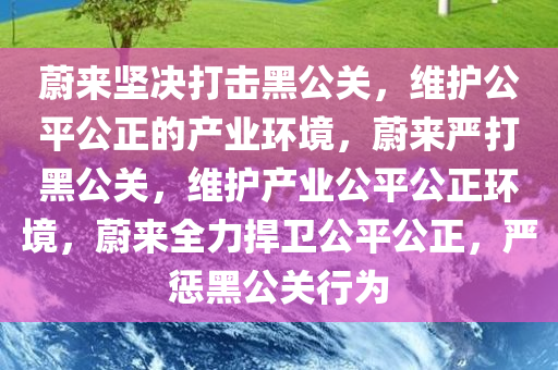 蔚来坚决打击黑公关，维护公平公正的产业环境，蔚来严打黑公关，维护产业公平公正环境，蔚来全力捍卫公平公正，严惩黑公关行为