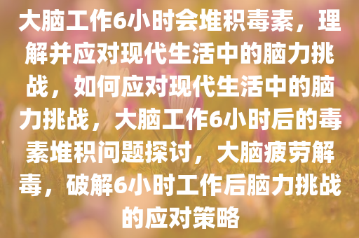 大脑工作6小时会堆积毒素，理解并应对现代生活中的脑力挑战，如何应对现代生活中的脑力挑战，大脑工作6小时后的毒素堆积问题探讨，大脑疲劳解毒，破解6小时工作后脑力挑战的应对策略