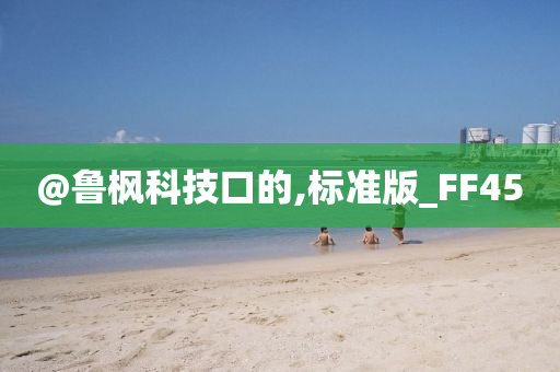 @鲁枫科技口的,标准版_FF45