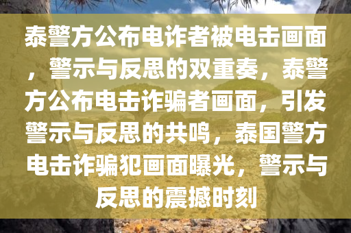 泰警方公布电诈者被电击画面，警示与反思的双重奏，泰警方公布电击诈骗者画面，引发警示与反思的共鸣，泰国警方电击诈骗犯画面曝光，警示与反思的震撼时刻