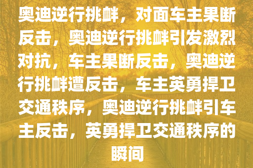 奥迪逆行挑衅，对面车主果断反击，奥迪逆行挑衅引发激烈对抗，车主果断反击，奥迪逆行挑衅遭反击，车主英勇捍卫交通秩序，奥迪逆行挑衅引车主反击，英勇捍卫交通秩序的瞬间