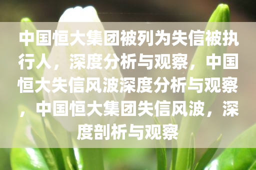 中国恒大集团被列为失信被执行人，深度分析与观察，中国恒大失信风波深度分析与观察，中国恒大集团失信风波，深度剖析与观察