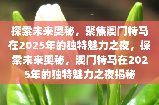 探索未来奥秘，聚焦澳门特马在2025年的独特魅力之夜，探索未来奥秘，澳门特马在2025年的独特魅力之夜揭秘