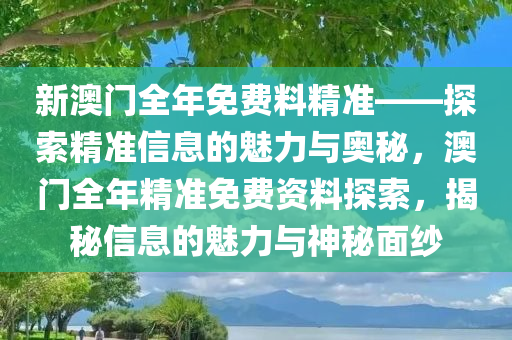 新澳门全年免费料精准——探索精准信息的魅力与奥秘，澳门全年精准免费资料探索，揭秘信息的魅力与神秘面纱