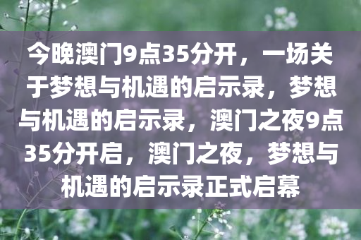 今晚澳门9点35分开，一场关于梦想与机遇的启示录，梦想与机遇的启示录，澳门之夜9点35分开启，澳门之夜，梦想与机遇的启示录正式启幕