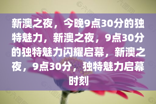 新澳之夜，今晚9点30分的独特魅力，新澳之夜，9点30分的独特魅力闪耀启幕，新澳之夜，9点30分，独特魅力启幕时刻