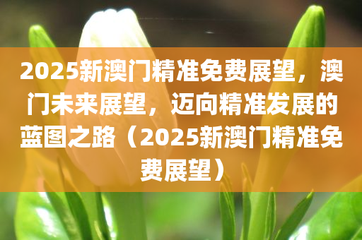 2025新澳门精准免费展望，澳门未来展望，迈向精准发展的蓝图之路（2025新澳门精准免费展望）