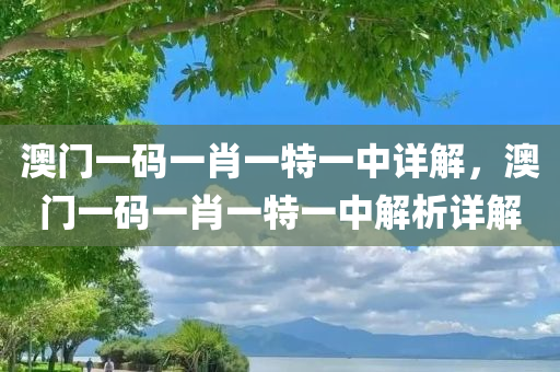 澳门一码一肖一特一中详解，澳门一码一肖一特一中解析详解