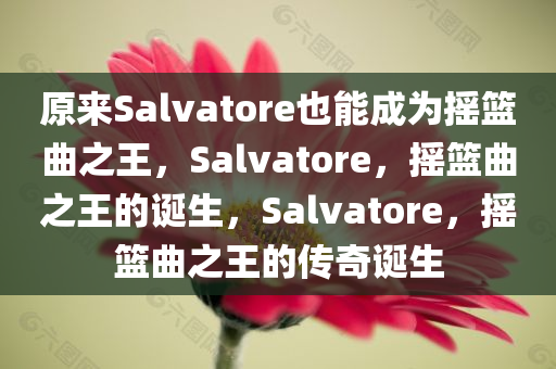 原来Salvatore也能成为摇篮曲之王，Salvatore，摇篮曲之王的诞生，Salvatore，摇篮曲之王的传奇诞生