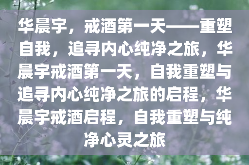 华晨宇，戒酒第一天——重塑自我，追寻内心纯净之旅，华晨宇戒酒第一天，自我重塑与追寻内心纯净之旅的启程，华晨宇戒酒启程，自我重塑与纯净心灵之旅