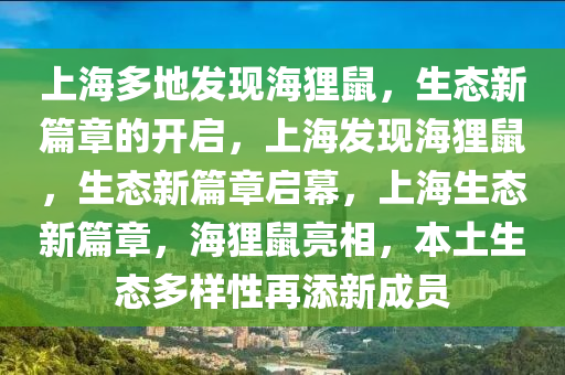 上海多地发现海狸鼠，生态新篇章的开启，上海发现海狸鼠，生态新篇章启幕，上海生态新篇章，海狸鼠亮相，本土生态多样性再添新成员