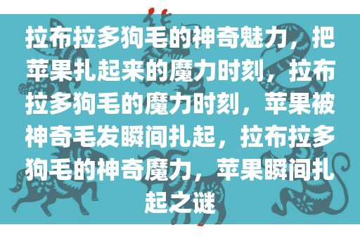 拉布拉多狗毛的神奇魅力，把苹果扎起来的魔力时刻，拉布拉多狗毛的魔力时刻，苹果被神奇毛发瞬间扎起，拉布拉多狗毛的神奇魔力，苹果瞬间扎起之谜