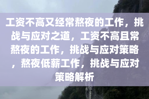 工资不高又经常熬夜的工作，挑战与应对之道，工资不高且常熬夜的工作，挑战与应对策略，熬夜低薪工作，挑战与应对策略解析