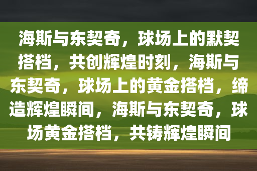 海斯与东契奇，球场上的默契搭档，共创辉煌时刻，海斯与东契奇，球场上的黄金搭档，缔造辉煌瞬间，海斯与东契奇，球场黄金搭档，共铸辉煌瞬间