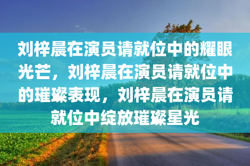 刘梓晨在演员请就位中的耀眼光芒，刘梓晨在演员请就位中的璀璨表现，刘梓晨在演员请就位中绽放璀璨星光