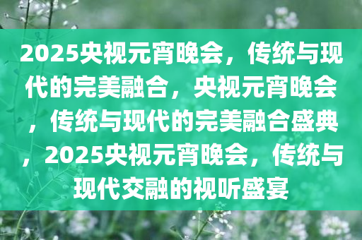 2025央视元宵晚会，传统与现代的完美融合，央视元宵晚会，传统与现代的完美融合盛典，2025央视元宵晚会，传统与现代交融的视听盛宴