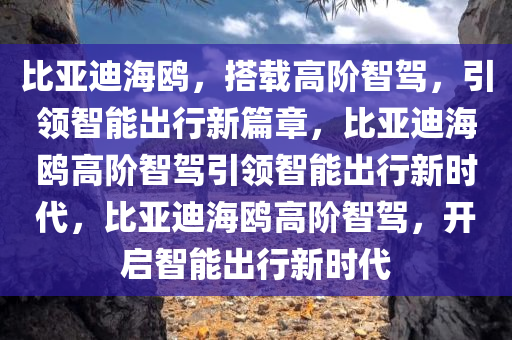 比亚迪海鸥，搭载高阶智驾，引领智能出行新篇章，比亚迪海鸥高阶智驾引领智能出行新时代，比亚迪海鸥高阶智驾，开启智能出行新时代