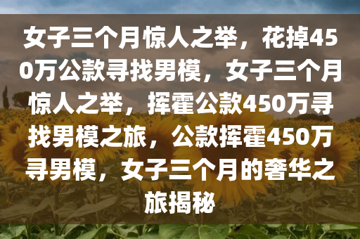 女子三个月惊人之举，花掉450万公款寻找男模，女子三个月惊人之举，挥霍公款450万寻找男模之旅，公款挥霍450万寻男模，女子三个月的奢华之旅揭秘