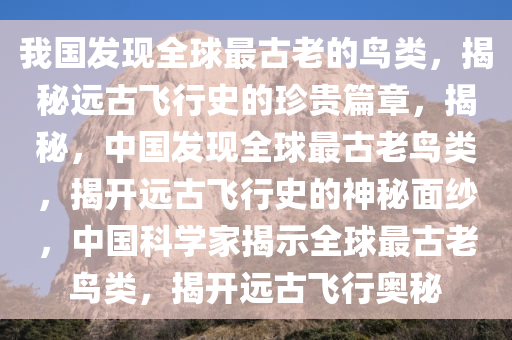 我国发现全球最古老的鸟类，揭秘远古飞行史的珍贵篇章，揭秘，中国发现全球最古老鸟类，揭开远古飞行史的神秘面纱，中国科学家揭示全球最古老鸟类，揭开远古飞行奥秘