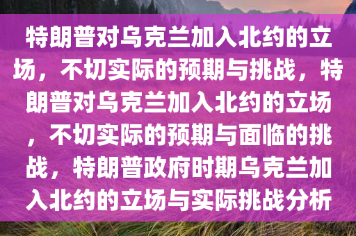 特朗普对乌克兰加入北约的立场，不切实际的预期与挑战，特朗普对乌克兰加入北约的立场，不切实际的预期与面临的挑战，特朗普政府时期乌克兰加入北约的立场与实际挑战分析