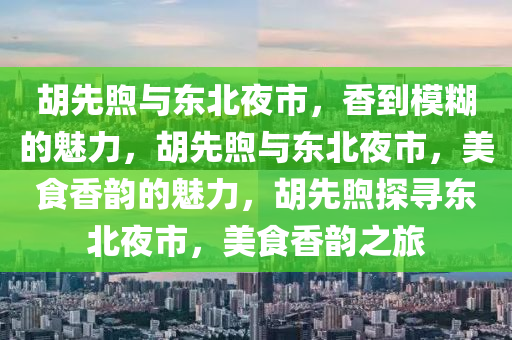 胡先煦与东北夜市，香到模糊的魅力，胡先煦与东北夜市，美食香韵的魅力，胡先煦探寻东北夜市，美食香韵之旅