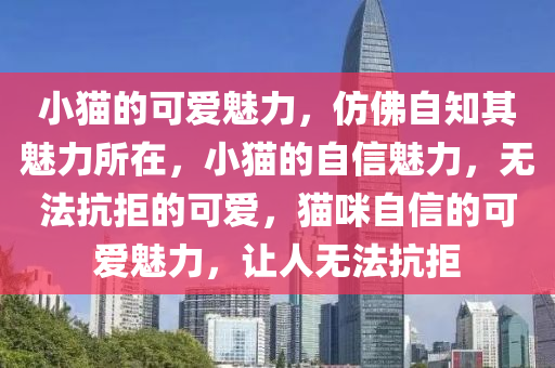 小猫的可爱魅力，仿佛自知其魅力所在，小猫的自信魅力，无法抗拒的可爱，猫咪自信的可爱魅力，让人无法抗拒