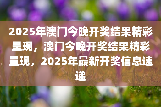 2025年澳门今晚开奖结果精彩呈现，澳门今晚开奖结果精彩呈现，2025年最新开奖信息速递